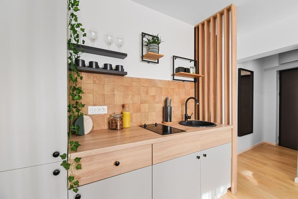 Mysa Modern Studio * Near Cismigiu Park * Netflix Bucharest Luaran gambar